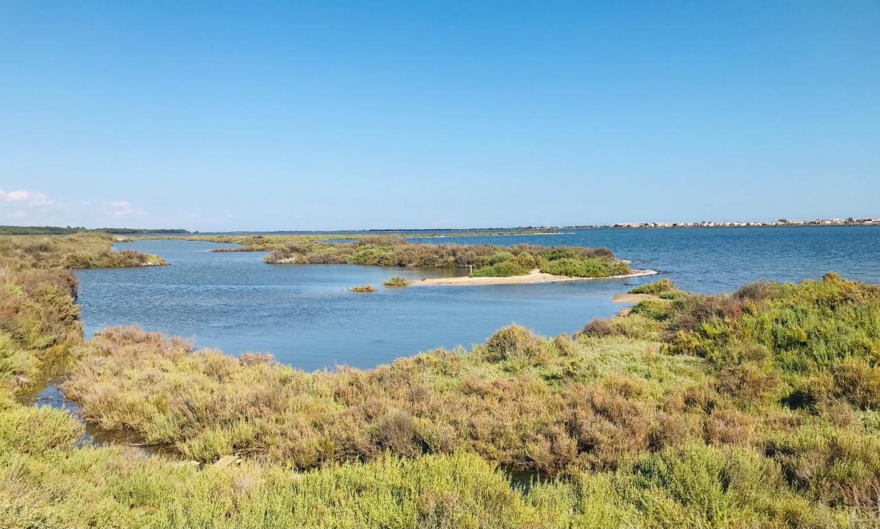 Le Cosy Des Goelands, T2 Proche De La Mer Frontignan Εξωτερικό φωτογραφία